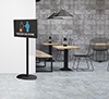 BT4030 - Flat Screen Display Stand with Tilt