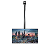 BT7808 - Pole mount screens from flat or angled ceilings