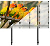 BT93INFWP-M-5X5 - Mobile Stand with Black Columns